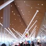 DSCN2432.JPG