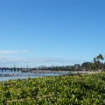 DSCF0774.JPG