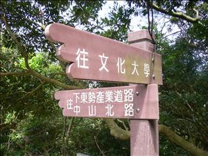 P1060180.JPG