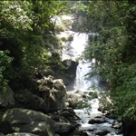 DSC01078.JPG