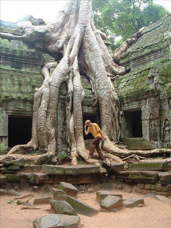 Tom - Ta Phrom2.jpg