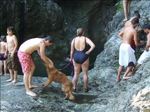Reading the dogs mind......He didn
