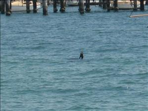 St Kilda Beach