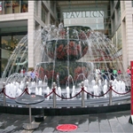 DSCN2447.JPG