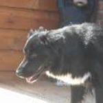 spring 091.JPG