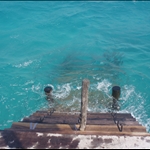 Prison Island
