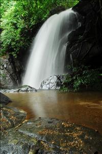 DSC_0447_1296x1936.JPG