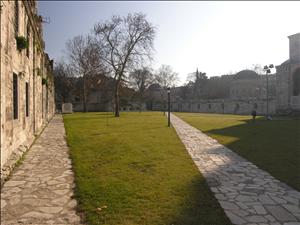 2007 © Antonino Cardillo