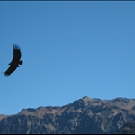Peru 365.jpg