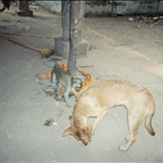 125.JPG
