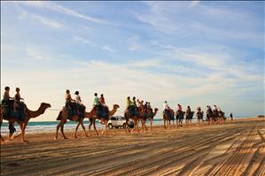Camel train at Broome.