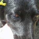 spring 095.JPG