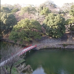 Kameyama