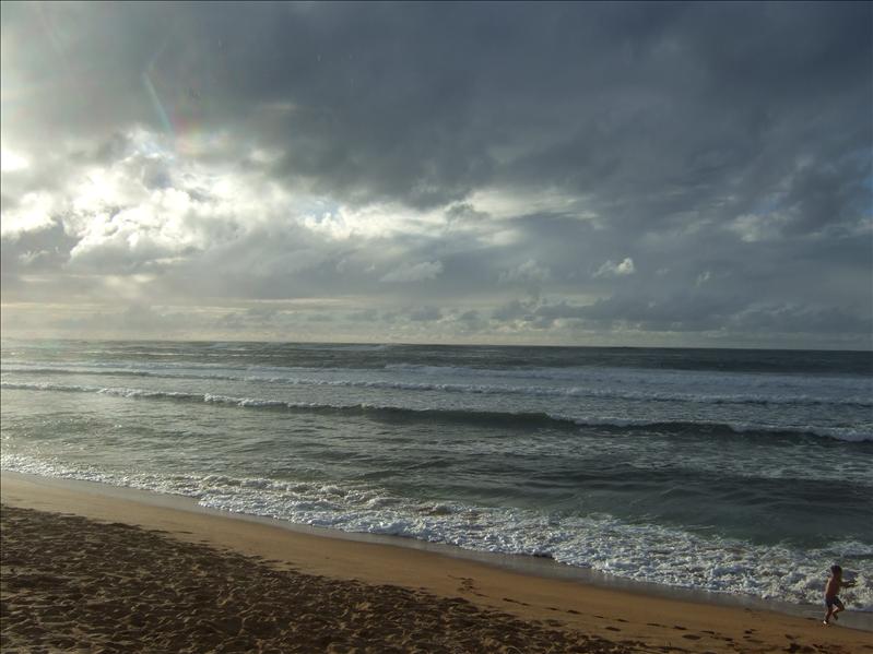 DSCF1752.JPG