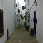 IMG_0464.JPG