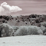 20090818_05