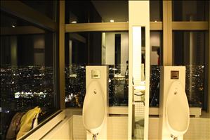 The toilet with the best view in the world!