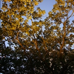 P1050661.JPG