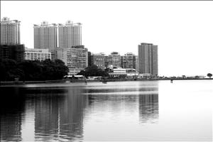 IMG_8220.JPG