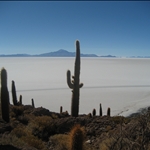 Isla Pescado.jpg