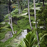 _MG_8656.jpg