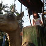 Samudra @ Anchol