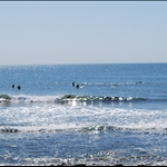 Ventura Surfers