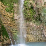 ein gedi.jpg