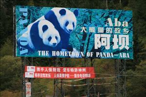IMG_1489resized.JPG