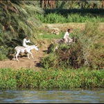 Rieke_felucca_IMG_0846.JPG