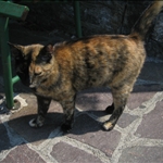 lago di como 012.jpg