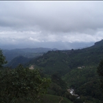 Munnar - South India