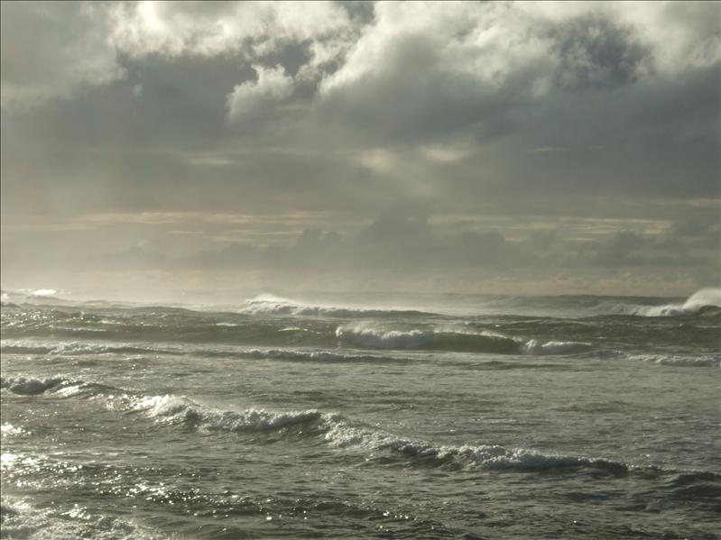 DSCF1763.JPG