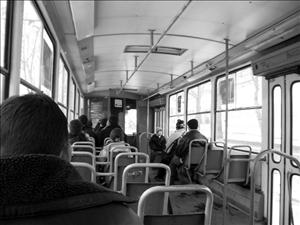 Trambus (Uzbekistan)