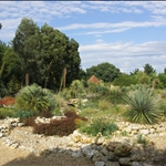 20090826_32.jpg