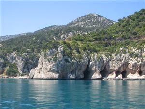 IMG_0085.JPG