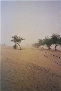 Thar desierto - Soul India