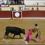 .. and the bull....