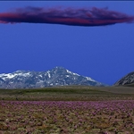 San Carlos