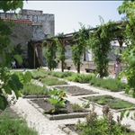 nuovo 136.jpg