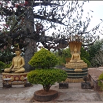 P2062444.JPG
