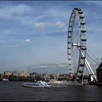 DSC_0222.JPG