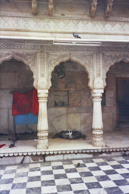 Templo de la ratas - Soul India