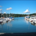 DSCN1555.JPG