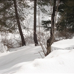 Layers Of Snow.JPG