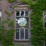 DSCN8036.JPG