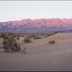 arei edom.jpg