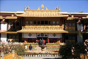 IMG_4620resized.JPG