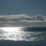 DSCF0767.JPG