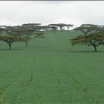 P1000010.JPG